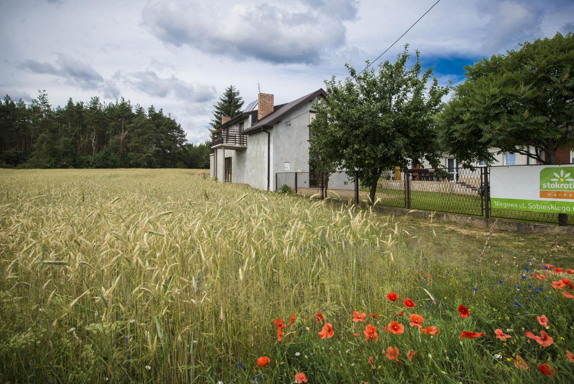 Jurajskie Pokoje Pod Lasem Bobolice  Extérieur photo